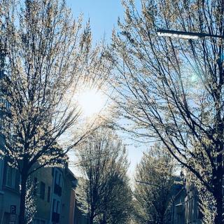 Zehuus mit Domblick und Dachterrasse - 1