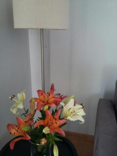 Apartament pod czwórką - 6