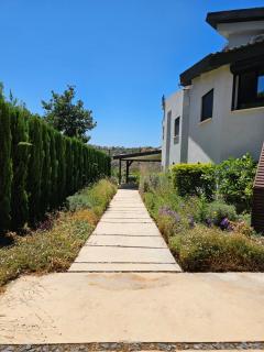 Reimond's place - Nahal Hilazon נחל חילזון - Karmi’el - 8