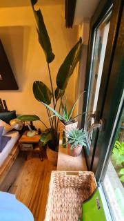 Boutique Apartment Benz 1 - 6