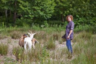 Le Gîte du Château de la Vérie - Challans - 6