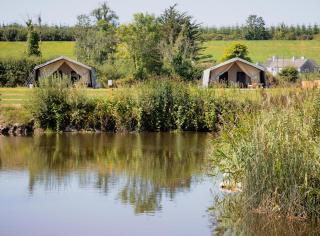 Glamping Safari Style - Roscommon - 8