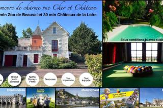 Demeure vue sur Cher/Château, 5 min Zoo de Beauval - Seigy - 0