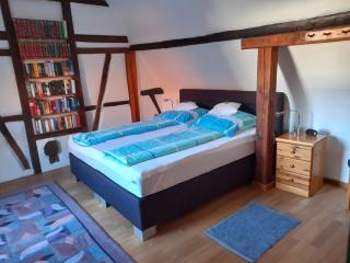 Ferienhaus Pfalzklause - Billigheim-Ingenheim - 1