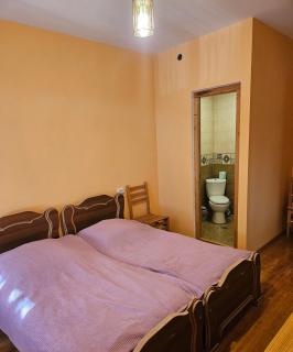 Guest house Lagodehki -  - 8