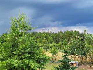 Domek letniskowy Dolice - - 3
