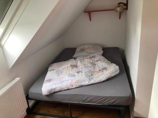 Alter Rhin - - 7