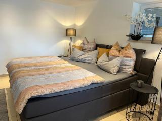 schöne Ferienwohnung 2,5 Zimmer in Stadtnähe mit eigenem Hofgarten - Balingen - 7