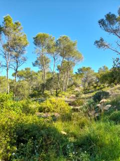 Studio du Roc des Garrigues - Langlade - 7