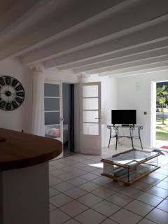 Amarante des Landes -  - 4