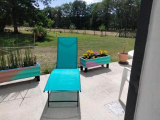 Amarante des Landes -  - 1