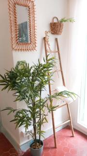 Charmant studio - Cannes - 3