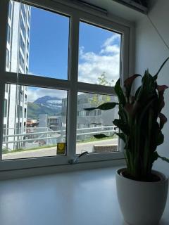 Cozy ground floor apartment - Tromsø - 8