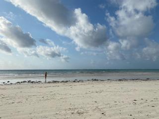 The Shore House Diani - 2 Bedroom Villa with a pool - Galu - 9