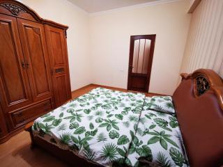 City Center, Comfortable and Sunny 2 Bedroom Nearby Republic Square - Ereván - 1