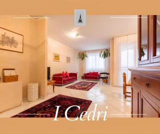 i cedri - Torino - 7