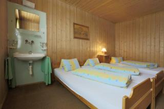 Hotel Tannenboden - Steinbock - 1