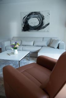 New Aesthetic Haven Hedonica 6 Apartment in Vrdnik - Vrdnik - 8