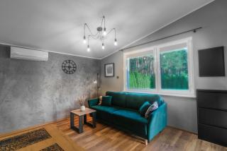 Sławica Inn domek letniskowy nad jeziorem - Sławica - 7
