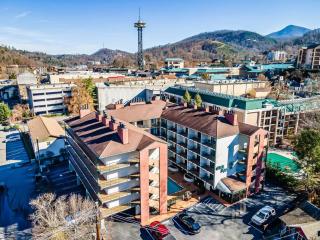 Bear Pause Retreat/Steps to Pkwy/With Indoor Pool - 1