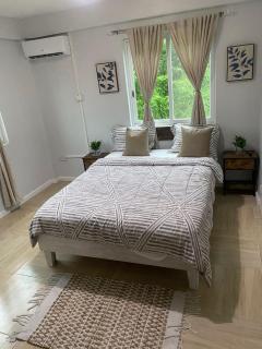 Jean Olive - Castries - 6