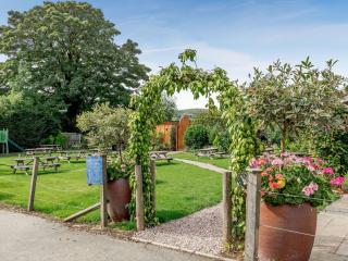 Fioled - Uk40267 - Llangadfan - 8