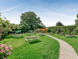 Fioled - Uk40267 - Llangadfan - 7
