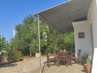 Traditional Rural House - Algarve - Silves - 9