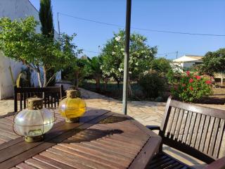 Traditional Rural House - Algarve - Silves - 8