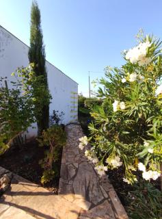 Traditional Rural House - Algarve - Silves - 2