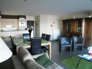 Appartement Borealis - Blankenberge - 3