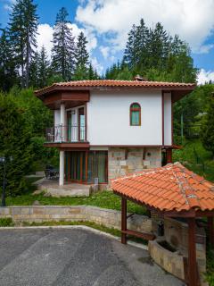 Pamporovo Cottage Savov - 9
