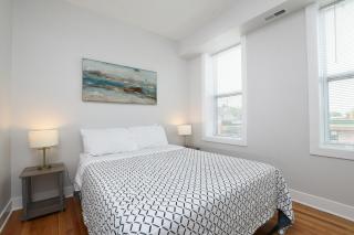 Contemporary Apt in Irving Park - Chicago - 4