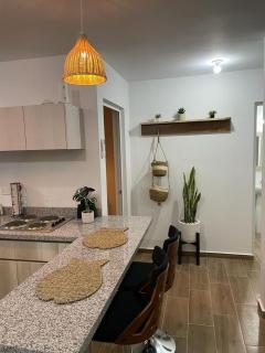 Departamento Altata Punta Paraiso - 8