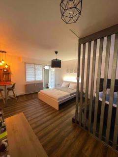 Grand Studio avec Jacuzzi - Strasburgo - 6