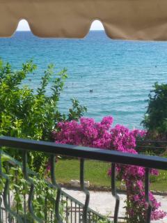Blue Beach Siviri Chalkidiki - 8