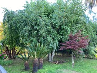 B&B Michela - Baronissi - 5