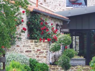 Gîte confortable au cœur des vignes avec terrasse, vélos, WiFi et équipements bébé à 17 km de Nantes - FR-1-306-808 - Châteauthébaud - 9
