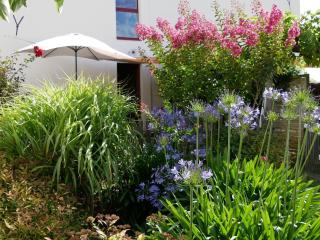 Gîte de caractère au cœur des vignes avec jardin, vélos et équipements bébé - FR-1-306-796 - Châteauthébaud - 7