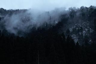 ミヤマテラス - 4