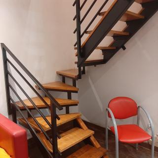 Roztocze 3 kroki od sosny - 2