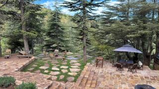 Cedar Scent Guesthouse - Batroûn - 8