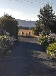 15 On Wards - Greytown - 7