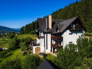 Bucovina Lodge Pension - Vama - 6