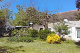 Les Glycines - Saint-Pierre-de-Buzet - 0