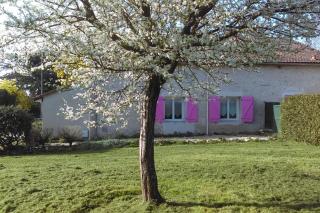 Tamaris - Saint-Pierre-de-Buzet - 1