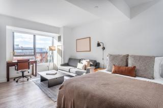 Central Sq Studio w Gym Doorman WD Roof BOS-313 - Cambridge - 3