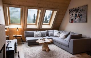 IMMODREAMS - L'ours polaire - Morzine - 9