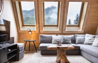 IMMODREAMS - L'ours polaire - Morzine - 8