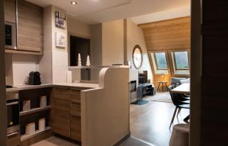 IMMODREAMS - L'ours polaire - Morzine - 2